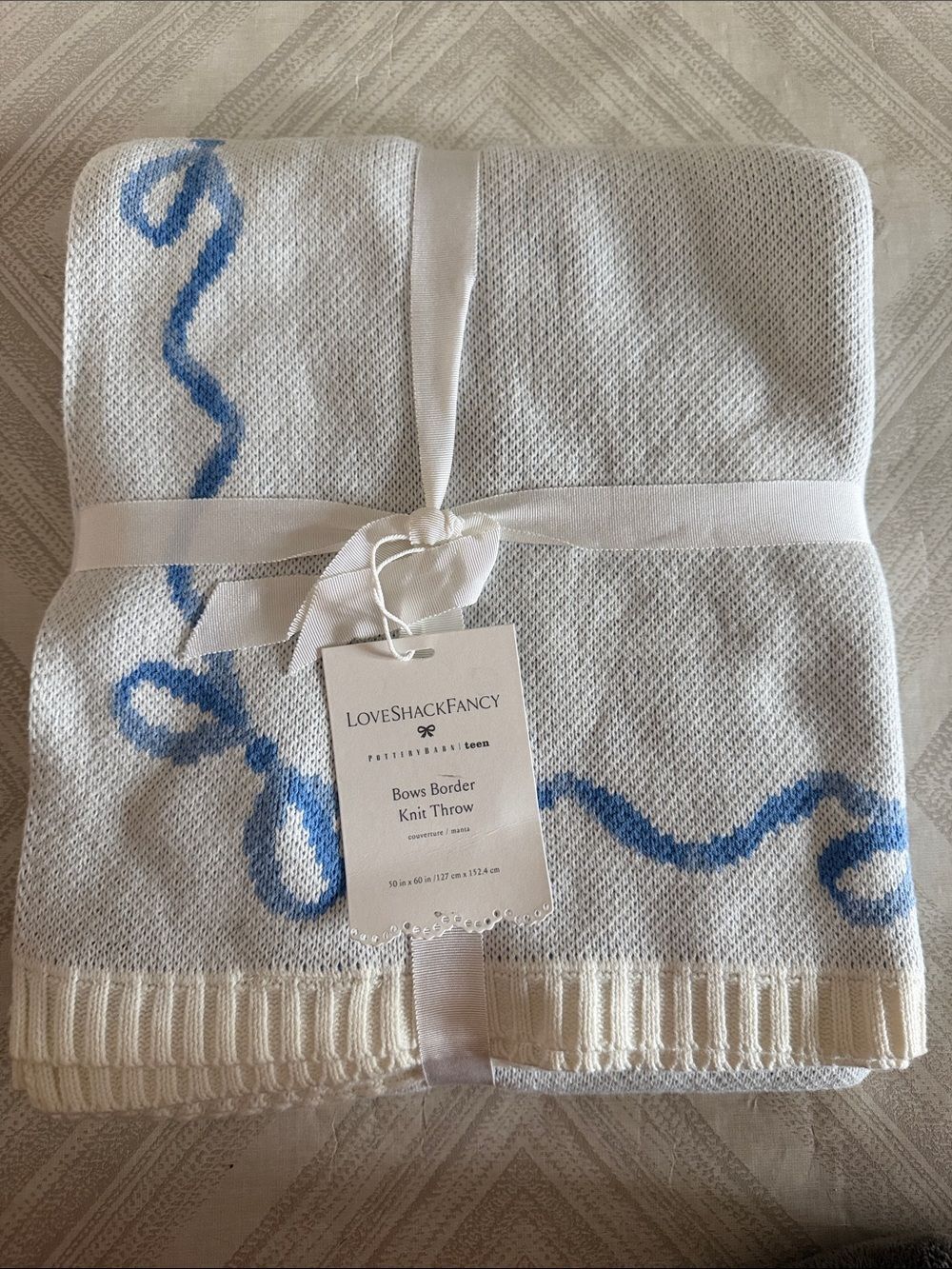 LoveShackFancy Pottery Barn Teen Bows Border Knit Blanket Blue White 50x60